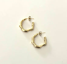 The Lizza Earrings