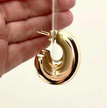 The Laupe Earrings