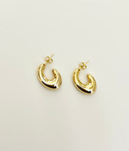 The Dyne Earrings- sm